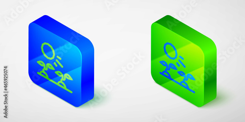 Isometric line Plant sprouts grow in the sun icon isolated grey background. Seedling concept. Blue and green square button. Vector