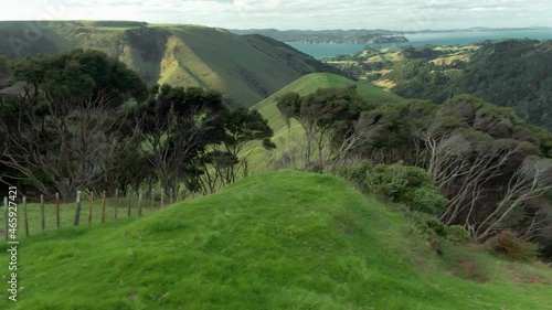 Aerial: Farmland and manuka trees on Awhitu Peninsula, Auckland, New Zealand photo