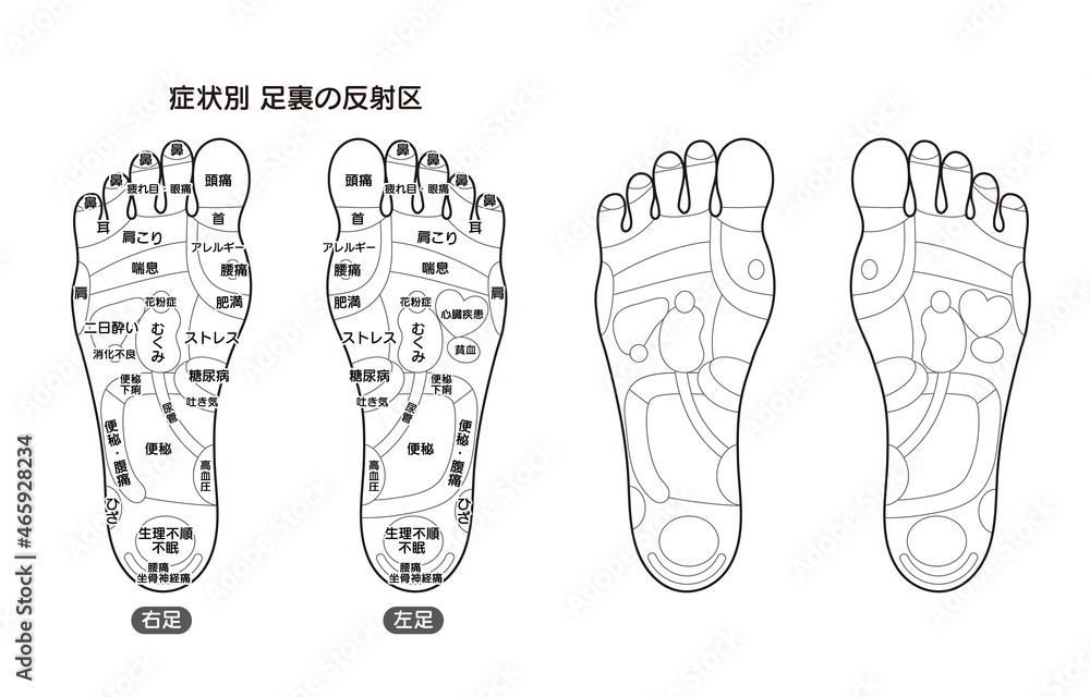 症状別足裏の反射区 足つぼ モノクロ図解イラスト Stock Vector Adobe Stock