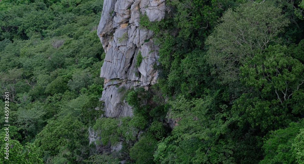 background image contains forest and rocky cliffs background image contains forest and rocky cliffs