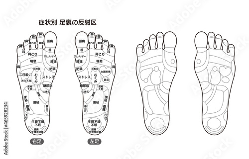 症状別足裏の反射区・足つぼ　モノクロ図解イラスト