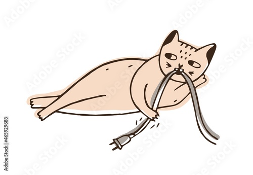 Cat gnawing or eating wire with plug. Funny naughty kitty isolated on white background. Bad, dangerous and harmful behavior of domestic animal, disobedient pet. Colorful hand drawn vector illustration