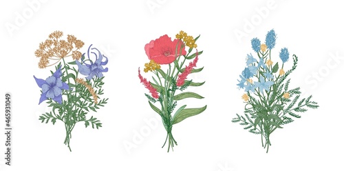 Collection of elegant bouquets or bunches of wild meadow blooming flowers and flowering herbs isolated on white background. Bundle of floral decorative design elements. Realistic vector illustration.