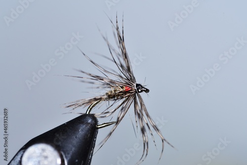 soft hackle trout fly