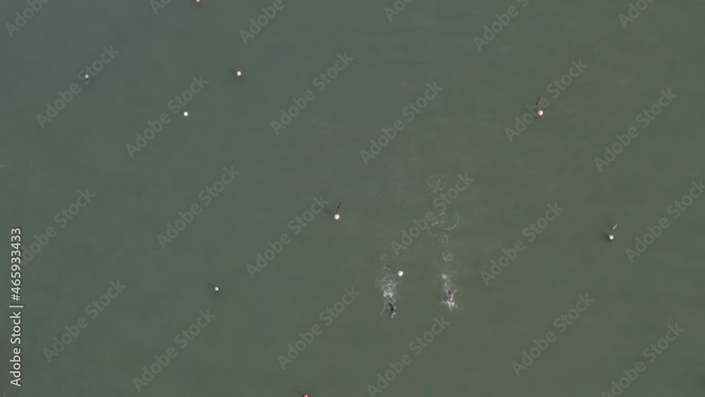 Two people swim off bottom of frame in green ocean water near buoys Two people swim off bottom of frame in green ocean water near buoys