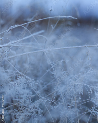 Frost in the grass on a autumn morning