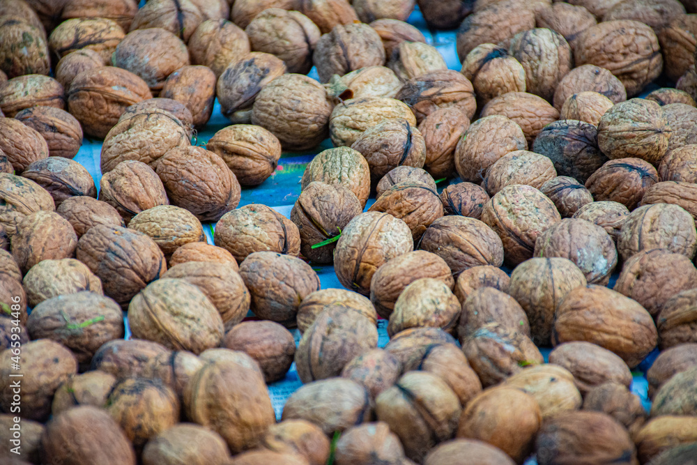 close up of drying walnuts close up of drying walnuts