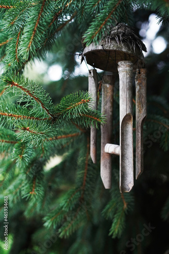 Wind chimes hanging in a Christmas tree. Bamboo chimes in the garden. photo