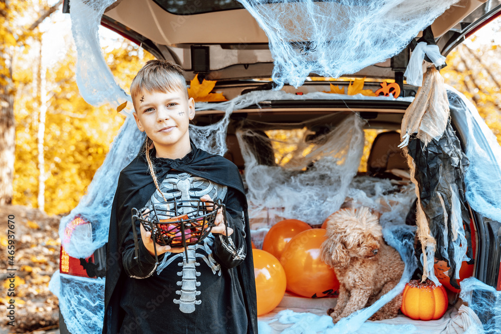 Obraz premium preteen caucasian boy in skeleton costume with bucket of sweets and cute poodle dog in ghost costume sits in trunk car decorated for Halloween with web, orange balloons and pumpkins, outdoor creative