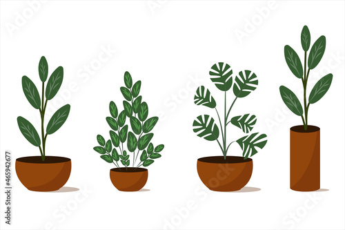 Set. Houseplants in different designed flowerpots. Flat style. Vector. Isolated on white background.