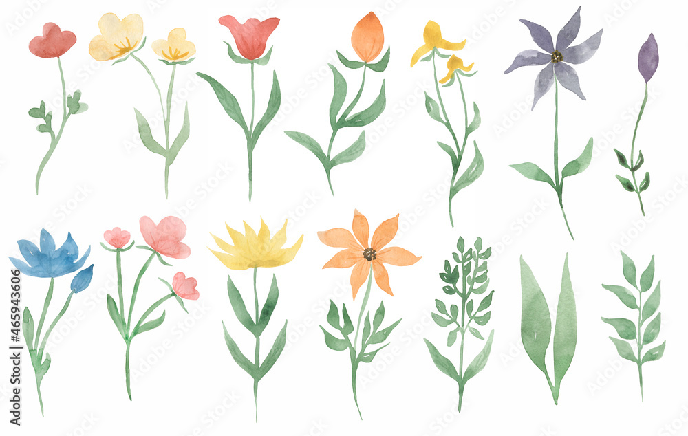 Wildflower illustration, Watercolor Meadow florals clipart set, field florals clip art, Greenery, wedding invitation