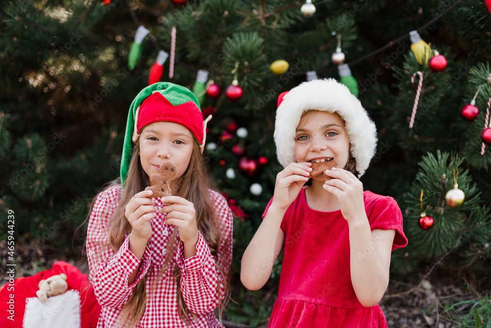 Merry Christmas. Portrait of two funny children girls in Santa hat eating gingerbread cookies drinking hot chocolate Merry Christmas. Portrait of two funny children girls in Santa hat eating gingerbread cookies drinking hot chocolate