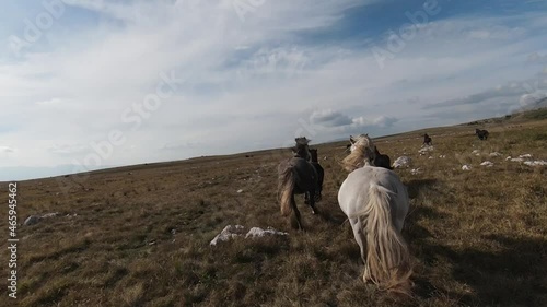 Aerial FPV Drone Flying with a large herd of wild horses galloping fast across steppe