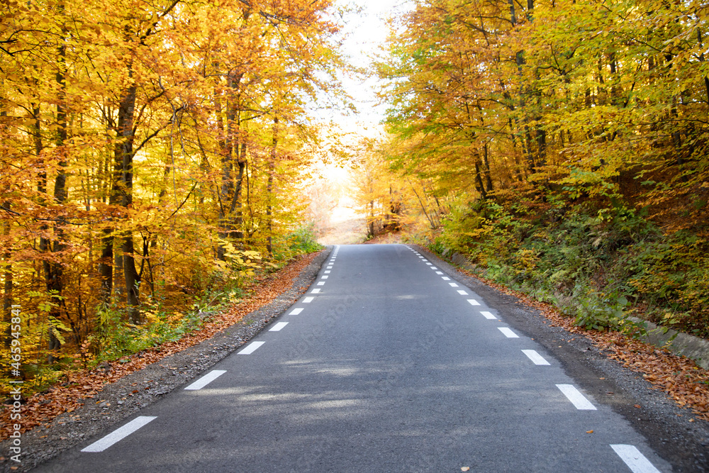 A colourful curving autumn road