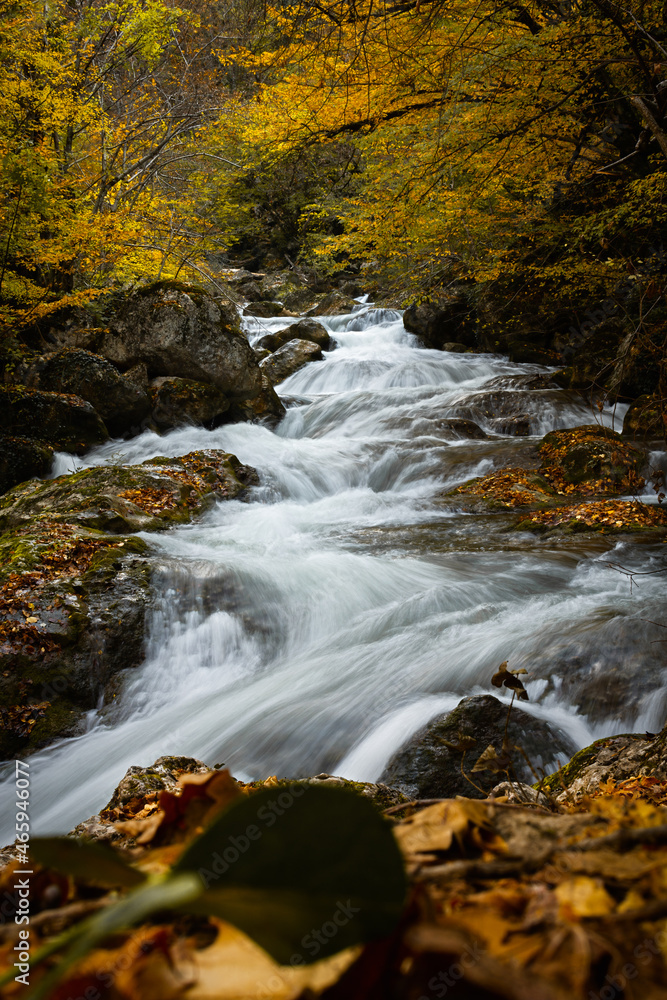 Mountain river autumn. Colorful vertical autumn landscape with blurred water movement and yellow deciduous trees. fallen orange leaves, a rushing stream. The concept of the beauty of nature, silence