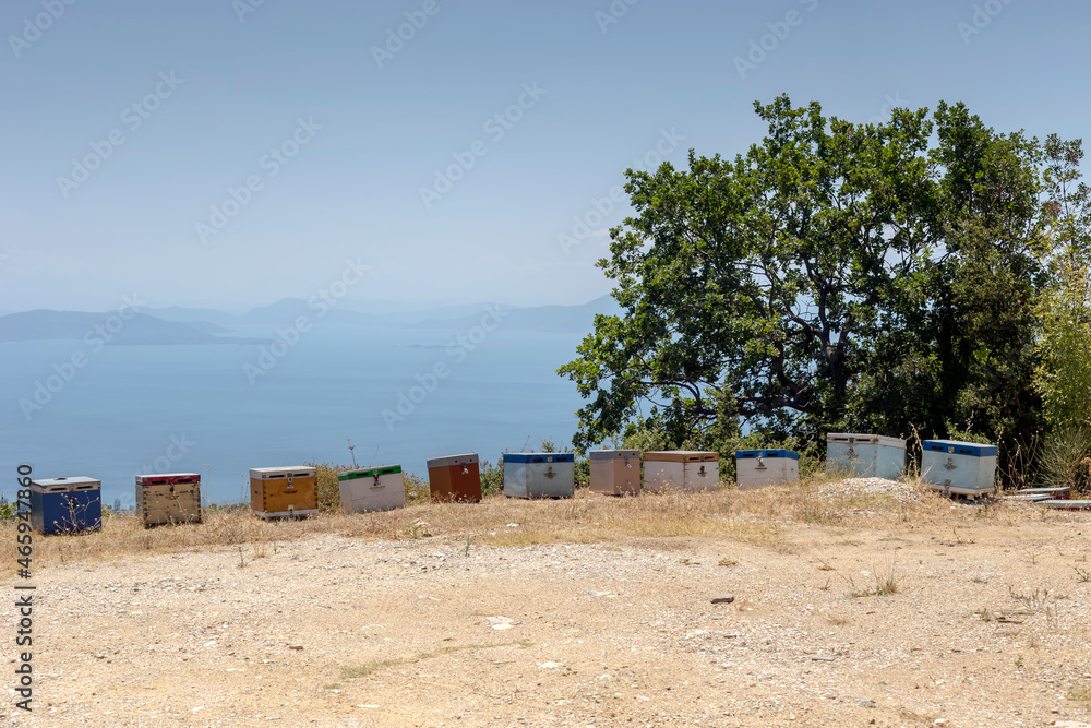Small apiary in the mountains on a summer day (Greece, Pelio) Small apiary in the mountains on a summer day (Greece, Pelio)