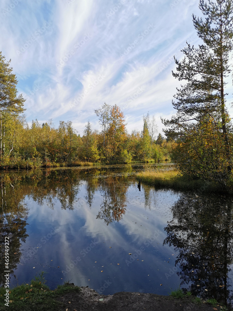 Trees with yellow leaves stand on the shore of the lake and are reflected in the water. Trees with yellow leaves stand on the shore of the lake and are reflected in the water.