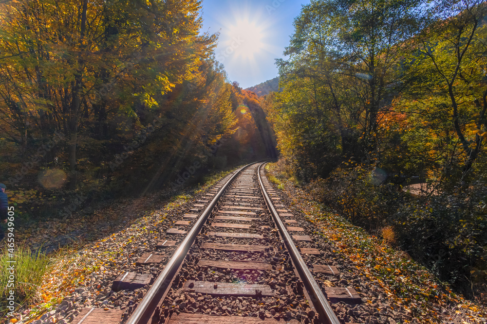 Railroad tracks in the fall.
