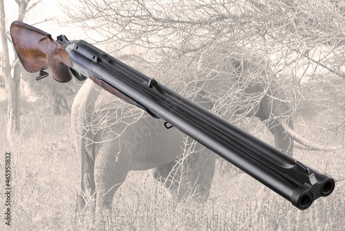 modern hunting rifle, fitting, with two barrels.