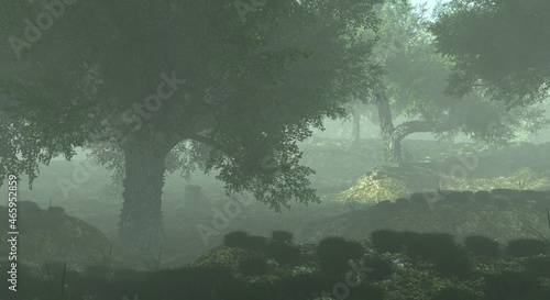 Foggy misty forest haze landscape 3d illustration