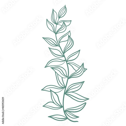 Graceful twig with leaves  botanical element vector illustration. A sketch of a branch with sheets. Natural decoration for cards  banners and templates.