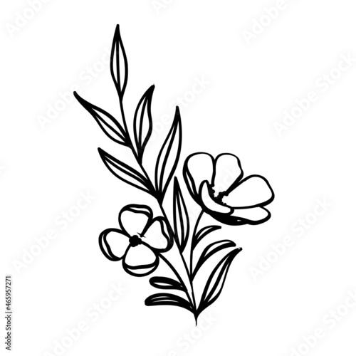 Pflanze Blume