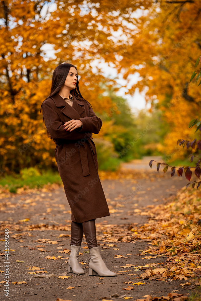 Portrait of a young woman in a brown coat in autumn Portrait of a young woman in a brown coat in autumn
