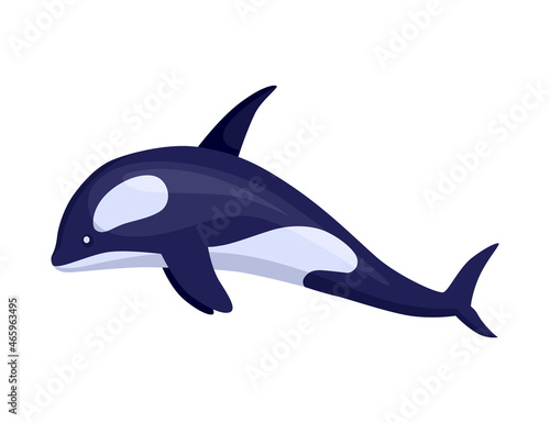 Killer whale - sea and ocean animal. Fauna character in flat cartoon style. Vector cute colorful object isolated on white background