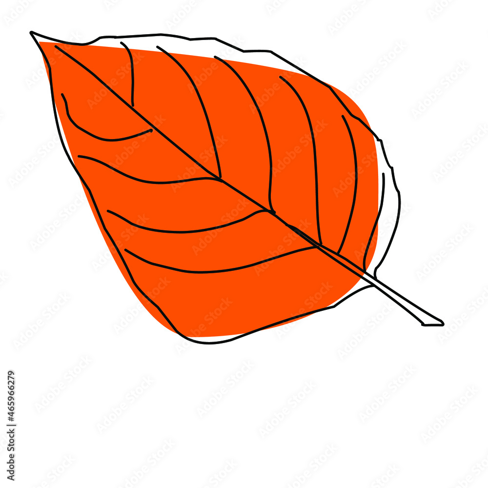 graphic image of autumn leaf_6 graphic image of autumn leaf_6