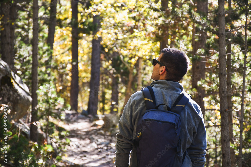 Male backpacker walking through a wooded forest, back view. Male backpacker walking through a wooded forest, back view.