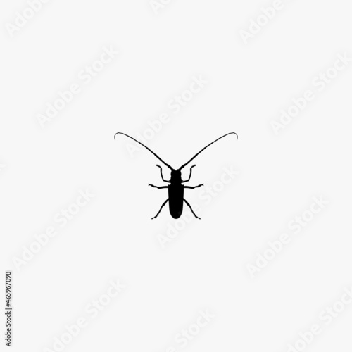 bug icon. bug vector icon on white background