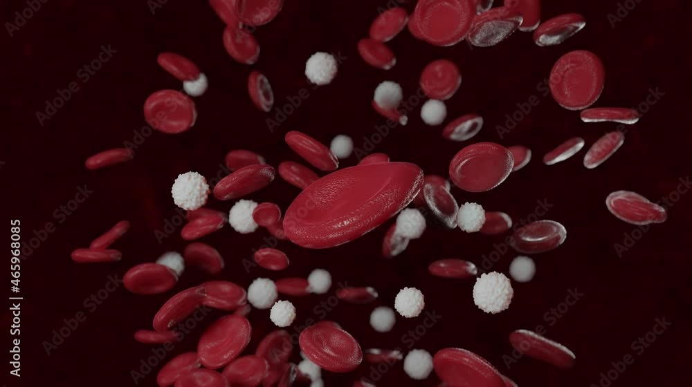 3d rendered medically accurate illustration of
too many white blood cells due to leukemia
3d rendered medically accurate illustration of
too many white blood cells due to leukemia