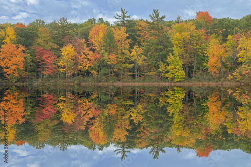 Autumn landscape of the shoreline of Long Lake with mirrored reflections in calm water, Yankee Springs State Park, Michigan, USA