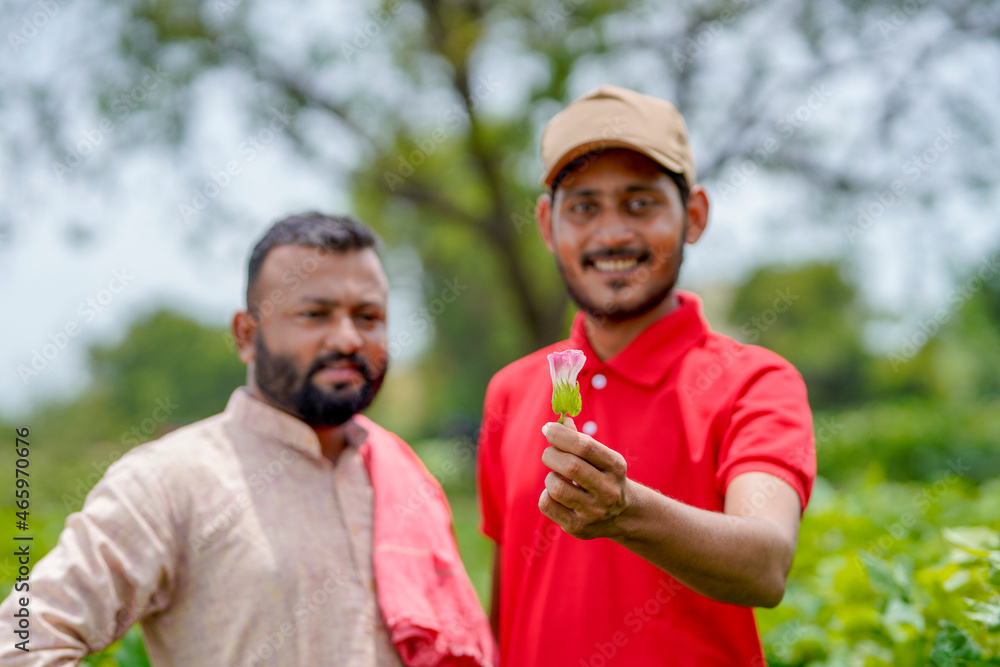 Indian agronomist or officer discussing with farmer at green cotton agriculture field. Indian agronomist or officer discussing with farmer at green cotton agriculture field.