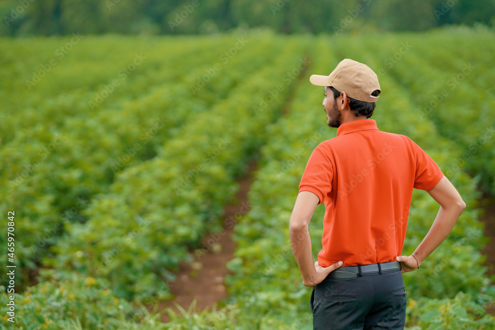 Fototapeta premium Young indian agronomist or officer standing at agriculture field.
