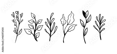 Hand drawn floral elements (laurels, leaves, flowers and branches). Wild and free. For invitations, greeting cards, Wedding Frames, posters. Nature ornaments.