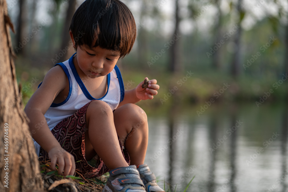 Asian boy sitting under tree sunset time lookimg to the river summer recreation Asian boy sitting under tree sunset time lookimg to the river summer recreation