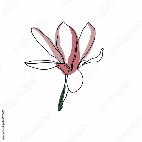 Magnolia mono line illustration