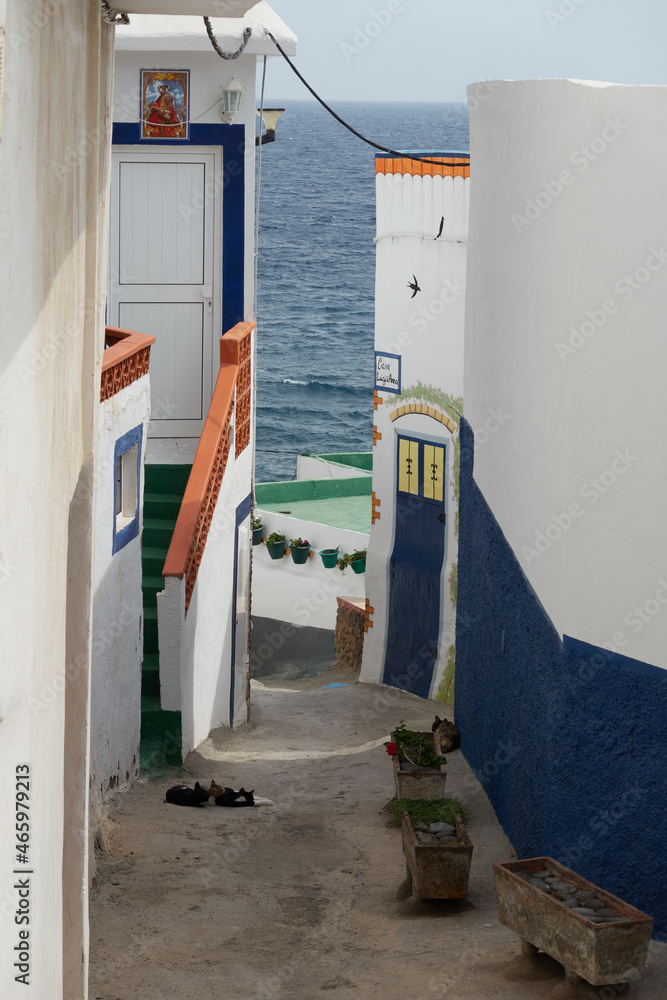 Fototapeta premium Strolling through the coastal town of Varadero, Tabaiba. Tenerife. Canary Islands. Spain