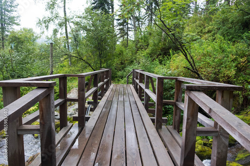 Wooden bridge in a rainy forest, after the rain between tall green trees © OLGA