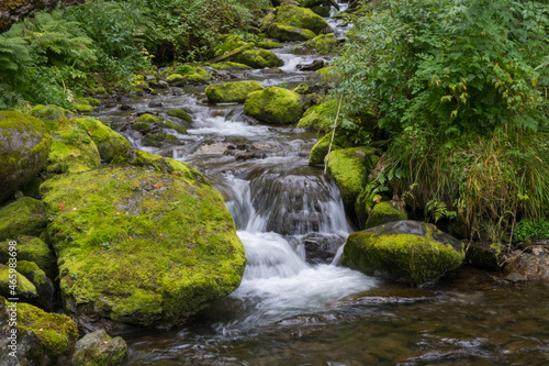 Cascading down a small mountain stream, the water runs over basalt boulders. A small waterfall runs through the moss.