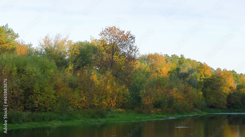 lake in autumn. autumn in the park. autumn landscape with a lake