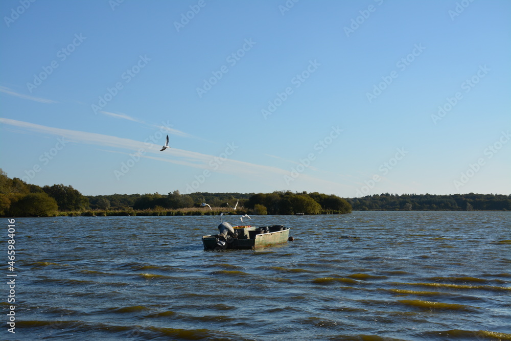 Passay - Lac de Grand Lieu Passay - Lac de Grand Lieu