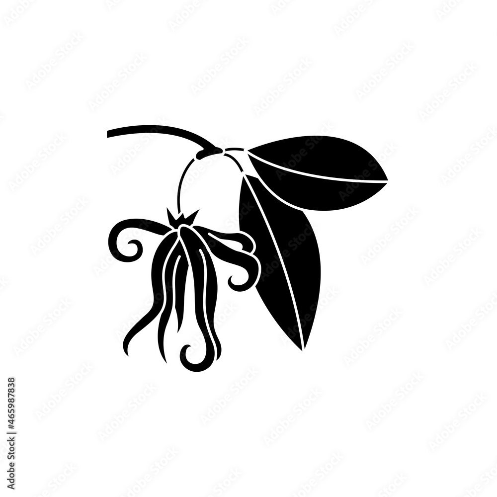 Ylang ylang olor line icon. Essential oils. Pictogram for web page, mobile app, promo. Ylang ylang olor line icon. Essential oils. Pictogram for web page, mobile app, promo.