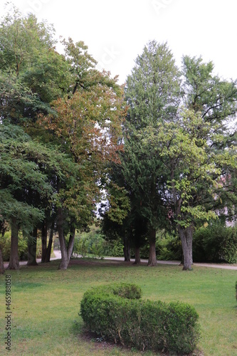 Park im Herbst.