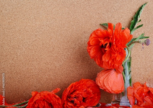 Red peony poppy papavers on a brouwn background . photo