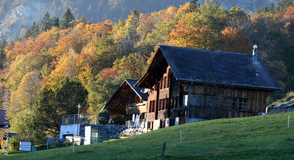alpes bernoises...haselberg