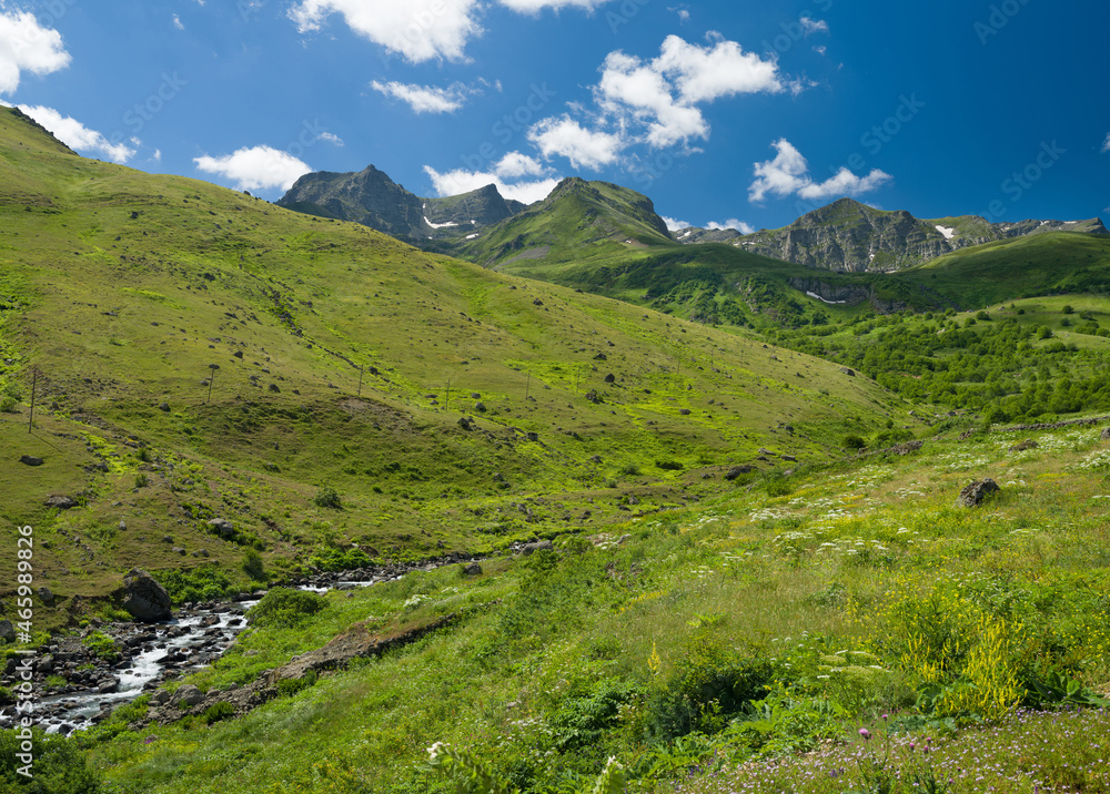 Flowing river in the plateau, green nature and mountains in spring