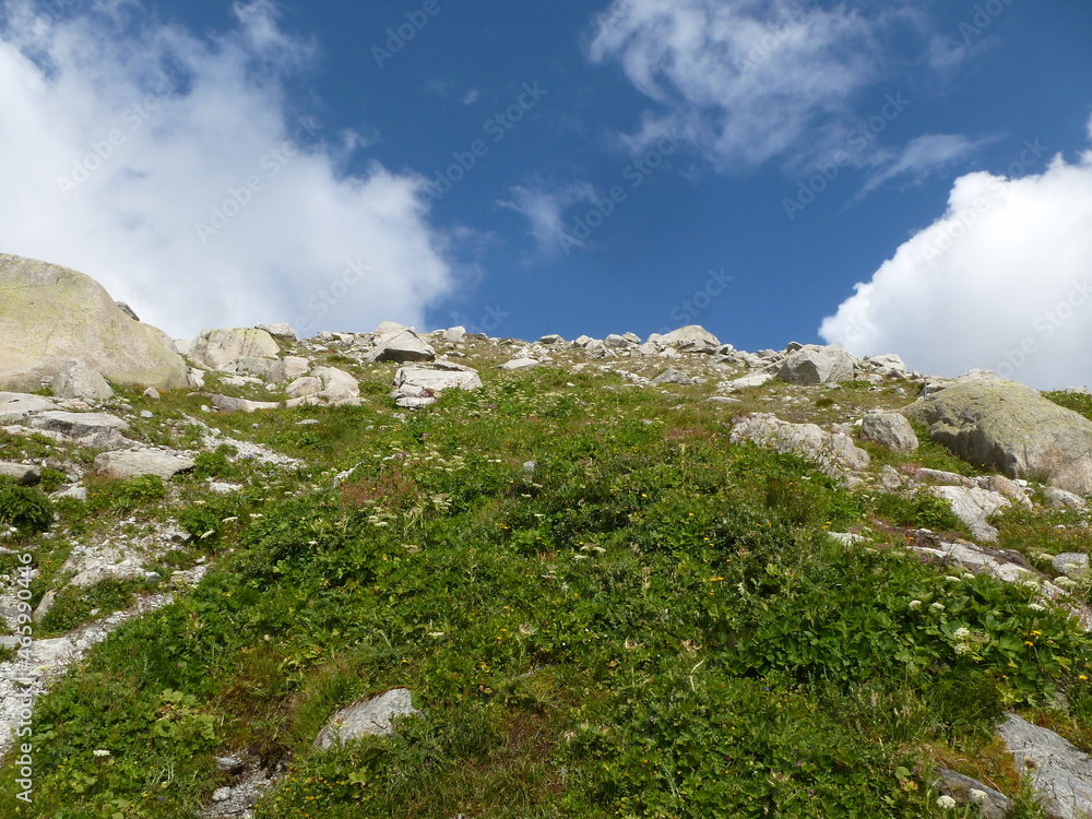 Alpine rock formation with green plants against a blue summer sky, Gletsch, Obergoms, Wallis, Valais, Switzerland
