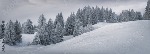 Winterpanorama Tannenwald in den Bergen © Stephan